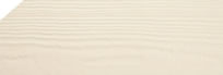 Parchment