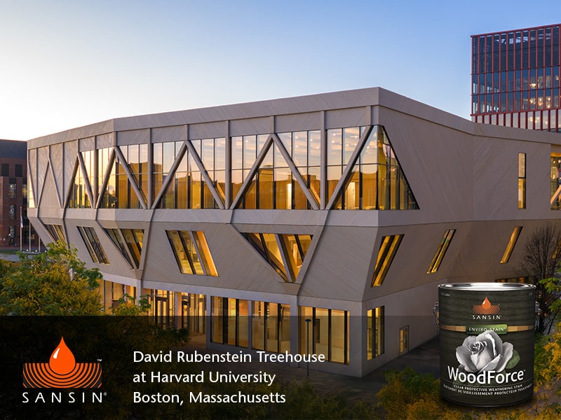 Feb 2026 POTM image 1