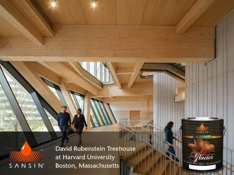 Feb 2026 POTM image 2