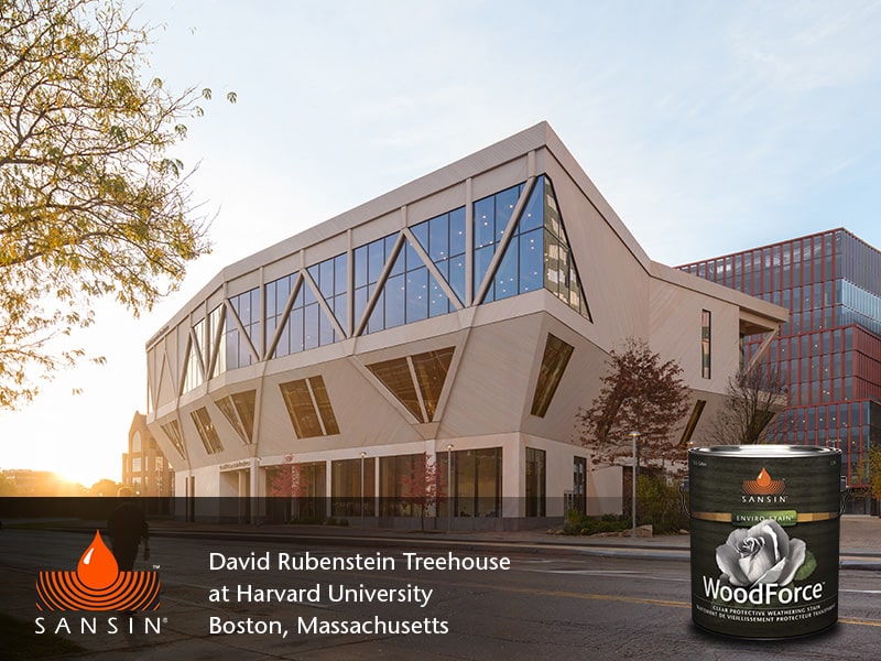 Feb 2026 POTM image 3