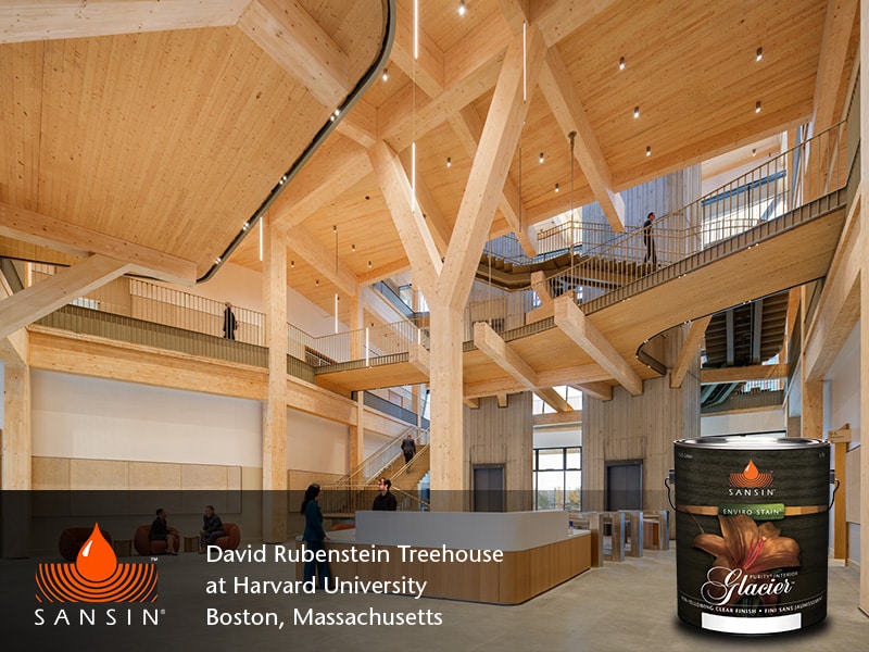 Feb 2026 POTM image 4