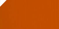 ORANGE TABBY 115 