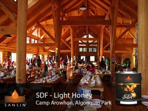 Camp Arowhon