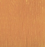 SUGAR CANE