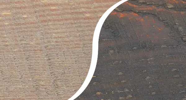 Mist Gray - Basalt Brown