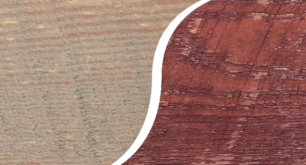 Mist Gray - Burnt Sienna