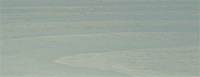 Pearl Gray WF-28