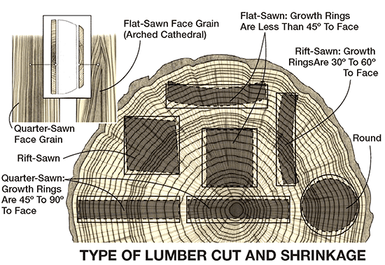 Lumber cut and shrinkage