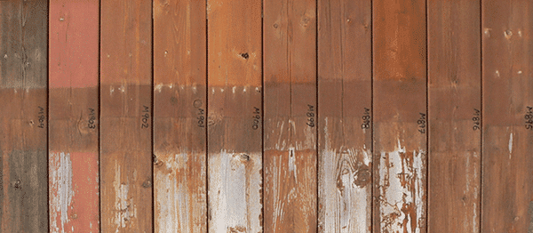 FIELD TRIAL - SANDING VS NOT