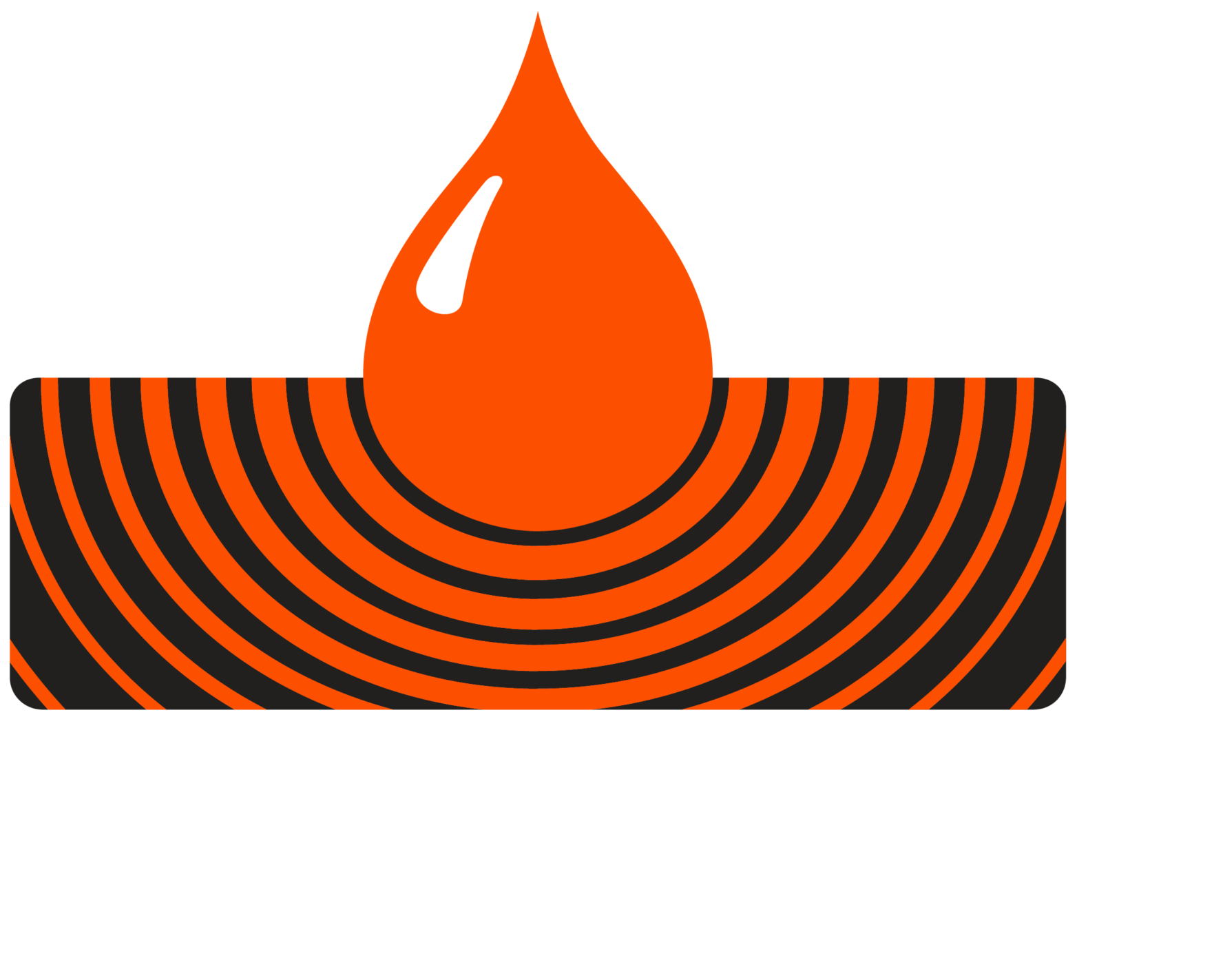 The Sansin Corporation