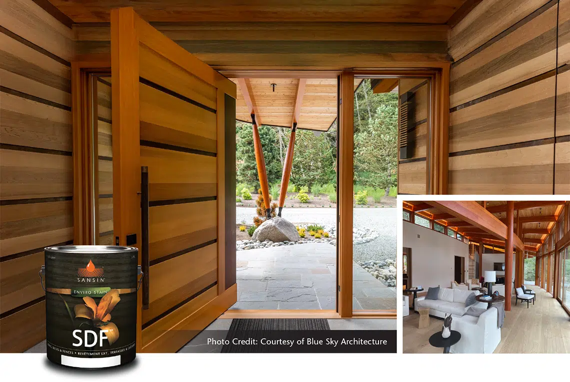 January 2026 POTM gallery 4