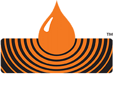 The Sansin Corporation